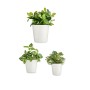 Set of pots Ø 14 cm Ø 22 cm Ø 17 cm Cónica 3 Pieces White by Ibergarden, Flower Pots - Ref: S3630811, Price: 14,59 €, Discoun...