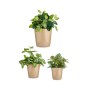 Set de pots Ø 14 cm Ø 22 cm Ø 17 cm Cónica 3 Pièces Beige | Tienda24 - Global Online Shop Tienda24.eu