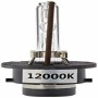 Car Bulb M-Tech ZMPD2S12 12000 K D2S Xenon by M-Tech, Lighting sets and components - Ref: S3702539, Price: 9,74 €, Discount: %