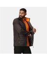 Veste de Sport pour Homme Regatta Clumber IV Hybrid Noir | Tienda24 Tienda24.eu