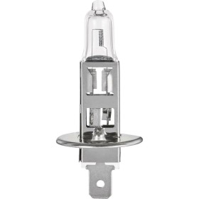 Lampadina Alogena FORMULA 1 SL115 55W 12V di FORMULA 1, Lampadine a incandescenza - Rif: S3723083, Prezzo: 7,61 €, Sconto: %