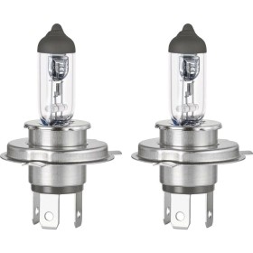 Car Bulb FORMULA 1 12 V 55 W H7 by FORMULA 1, Bulbs - Ref: S3723095, Price: 22,39 €, Discount: %