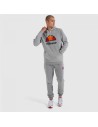 Polar com Capuz Homem Ellesse Dahryl OH Cinzento claro | Tienda24 Tienda24.eu