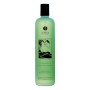 Gel Doccia Shunga Sensual Menta (500 ml) di Shunga, Prodotti per il bagno - Rif: S4000127, Prezzo: 11,86 €, Sconto: %