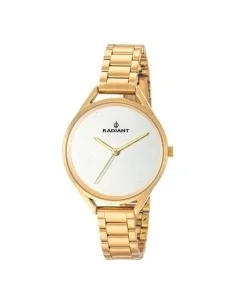 Montre Femme Police PL16038BS04M (Ø 36 mm) | Tienda24 Tienda24.eu