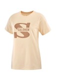 Herren Kurzarm-T-Shirt Salomon Big Logo Nude Beige Braun | Tienda24 Tienda24.eu