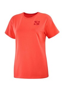 Herren Kurzarm-T-Shirt Ellesse Michaelo Weiß | Tienda24 Tienda24.eu