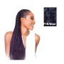 Extensions pour les Cheveux X-Pression Nº 1b/bleu de X-Pression, Extensions de cheveux - Réf : S4245108, Prix : 6,98 €, Remis...