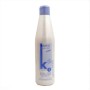 Shampoing Anti Frisottis Salerm Keratin Shot de Salerm, Shampooings - Réf : S4245148, Prix : 18,17 €, Remise : %