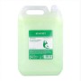 Conditioner Risfort (5L) | Tienda24 - Global Online Shop Tienda24.eu