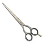 Hair scissors Fama Fabré JAGUAR PRE 6" by Fama Fabré, Hair scissors - Ref: S4251246, Price: 99,10 €, Discount: %