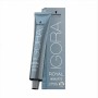 Coloración Semipermanente Schwarzkopf Igora Royal Highlifts 12-19 (60 ml) (60 ml) de Schwarzkopf, Coloración semipermanente -...