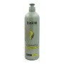 Shampoo Exitenn Protein | Tienda24 - Global Online Shop Tienda24.eu