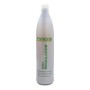 Shampooing Exitenn Cheveux gras | Tienda24 - Global Online Shop Tienda24.eu