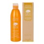 Champú Argan Sublime Farmavita de Farmavita, Champús - Ref: S4256013, Precio: 18,23 €, Descuento: %