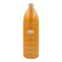 Shampoo Argan Sublime Farmavita | Tienda24 - Global Online Shop Tienda24.eu