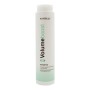 Shampoo per Dare Volume Montibello | Tienda24 - Global Online Shop Tienda24.eu