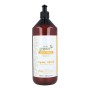 Shampoo Repair Pure Green | Tienda24 - Global Online Shop Tienda24.eu