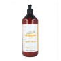 Après-shampoing réparateur Pure Green Pure Green de Pure Green, Après-shampooings - Réf : S4256137, Prix : 0,00 €, Remise : %