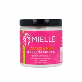 Acondicionador Mielle Babassu & Mint Deep (227 g) de Mielle, Acondicionadores - Ref: S4257915, Precio: 17,82 €, Descuento: %