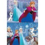 Set de 2 Puzzles Frozen Believe   48 Pièces 28 x 20 cm de Frozen, Puzzles classiques - Réf : S4307654, Prix : 10,13 €, Remise...