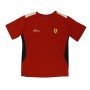 Camiseta de Manga Corta Infantil Precisport Ferrar