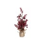 Planta Decorativa Romimex Vermelho Bege Visco Pinha 13 x 50 x 13 cm de Romimex, Natal - Ref: D1617629, Preço: 14,11 €, Descon...