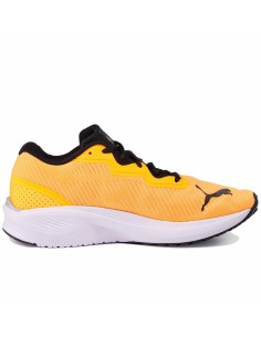 Men's Trainers U.S. Polo Assn. TABRY002A Yellow | Tienda24 Tienda24.eu