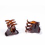 Hair clips Inca Pinza Pequeña Brown 2 Units Small | Tienda24 - Global Online Shop Tienda24.eu