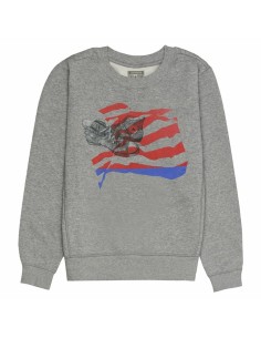 Sudadera sin Capucha Hombre Converse Graphic Fleece Crew Gris claro de Converse, Hombre - Ref: S6486494, Precio: 46,91 €, Des...