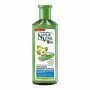 Anti-Schuppen Shampoo Naturaleza y Vida | Tienda24 - Global Online Shop Tienda24.eu