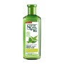 Shampoing Purifiant Bio Ecocert Naturaleza y Vida (300 ml) | Tienda24 - Global Online Shop Tienda24.eu