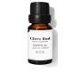 Air Freshener Daffoil Clove Bud 10 ml | Tienda24 - Global Online Shop Tienda24.eu