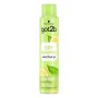 Shampoo Secco Got2b Extra Schwarzkopf 4076451 200 ml | Tienda24 - Global Online Shop Tienda24.eu