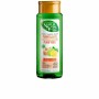 Champô Purificante Naturvital Eco Limão Gengibre (300 ml) | Tienda24 - Global Online Shop Tienda24.eu