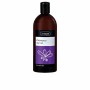 Champô Antioleosidade Ziaja Lavanda (500 ml) | Tienda24 - Global Online Shop Tienda24.eu