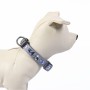 Collier pour Chien Disney XXS/XS Gris | Tienda24 - Global Online Shop Tienda24.eu