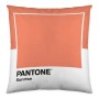 Fodera per cuscino Wide C Pantone Localization-B086JPW2VB Reversibile 50 x 50 cm di Pantone, Copricuscini e federe - Rif: S28...