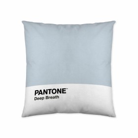 Fodera per cuscino Deep Breath Pantone 63836304 50 x 50 cm di Pantone, Copricuscini e federe - Rif: S2805285, Prezzo: 6,88 €,...