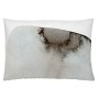 Cushion cover Naturals Pebble (50 x 30 cm) by Naturals, Cushion Covers - Ref: S2806842, Price: 5,69 €, Discount: %