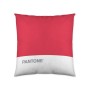 Housse de coussin Pantone Stripes (50 x 50 cm) de Pantone, Housses de coussin - Réf : S2807168, Prix : 6,88 €, Remise : %