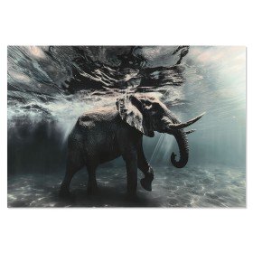 Leinwand Hindu 75 x 2 x 95 cm | Tienda24 - Global Online Shop Tienda24.eu