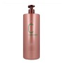 Conditioner Risfort 69906 (1000 ml) by Risfort, Conditioners - Ref: S4247375, Price: 4,91 €, Discount: %