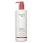 Shampoo Christophe Robin Regenerant 500 ml | Tienda24 - Global Online Shop Tienda24.eu