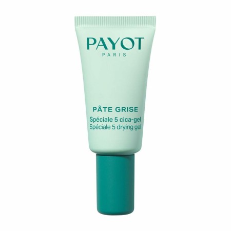 Crema Giorno Payot PÂTE GRISE | Tienda24 - Global Online Shop Tienda24.eu