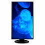 Monitor V7 L27HAS2K-2E 27" LED Quad HD de V7, Monitores - Ref: S55019250, Precio: 213,11 €, Descuento: %