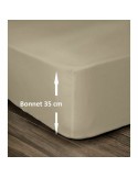 Fitted sheet Lovely Home Beige 140 x 190 cm | Tienda24 Tienda24.eu