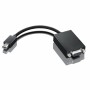 Mini DisplayPort to VGA adapter Lenovo 0A36536 Black | Tienda24 - Global Online Shop Tienda24.eu