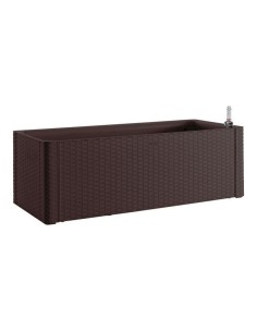 Blumentopfset DKD Home Decor Schwarz Gold Metall 30 x 30 x 101 cm (2 Stück) | Tienda24 Tienda24.eu