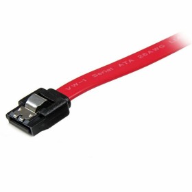 SATA Cable Startech SATA18LA1 | Tienda24 - Global Online Shop Tienda24.eu